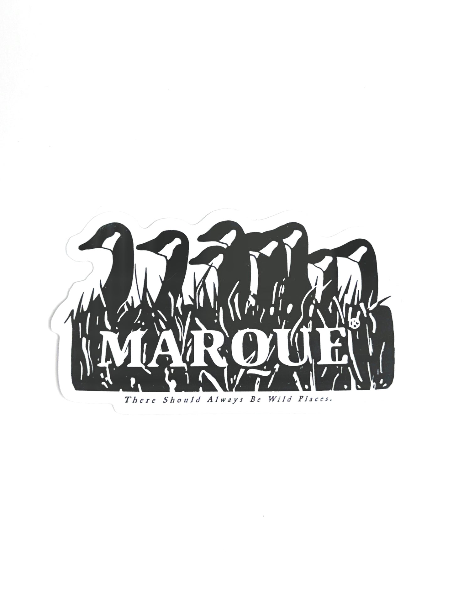 Marque Geese